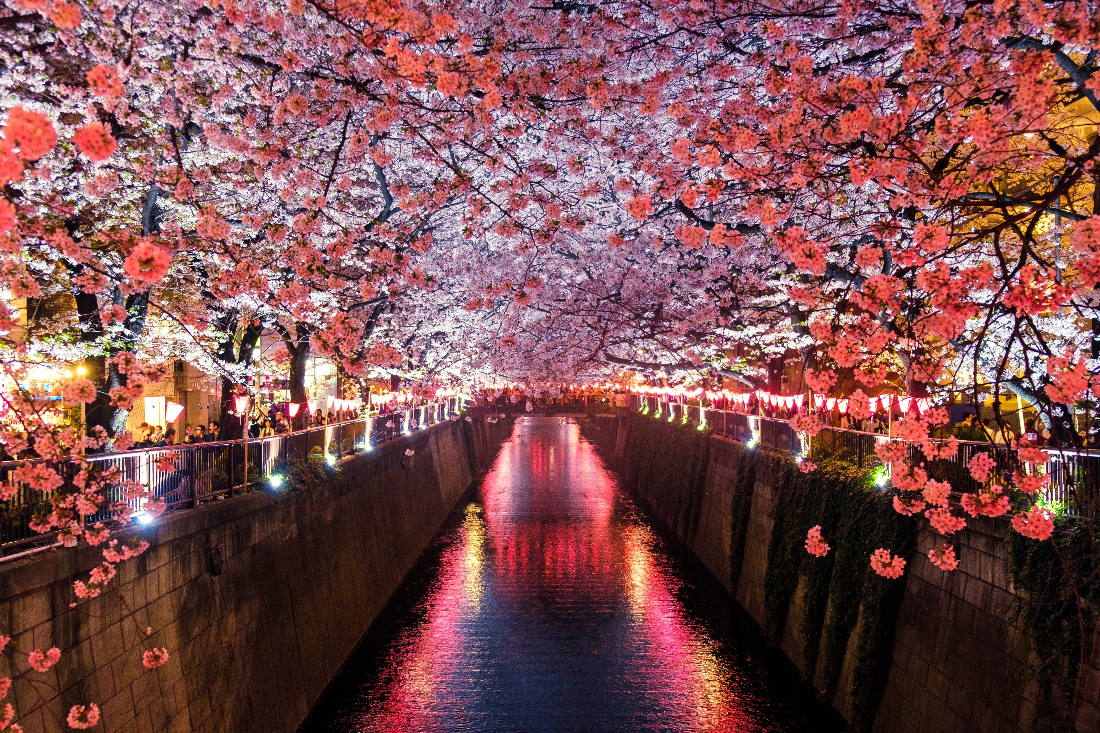 Neizpētīta Japāna 13 dienas (Osaka, Kioto, Nara, Himedži)